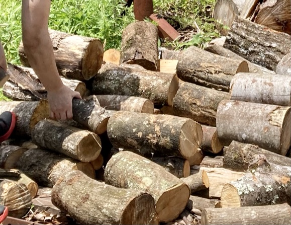 木の席札用木材