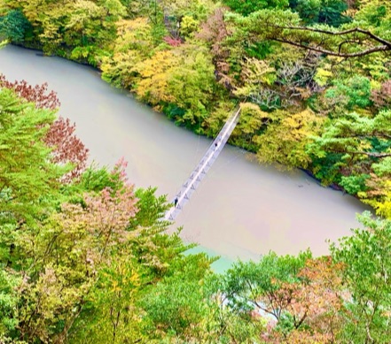 夢の吊橋