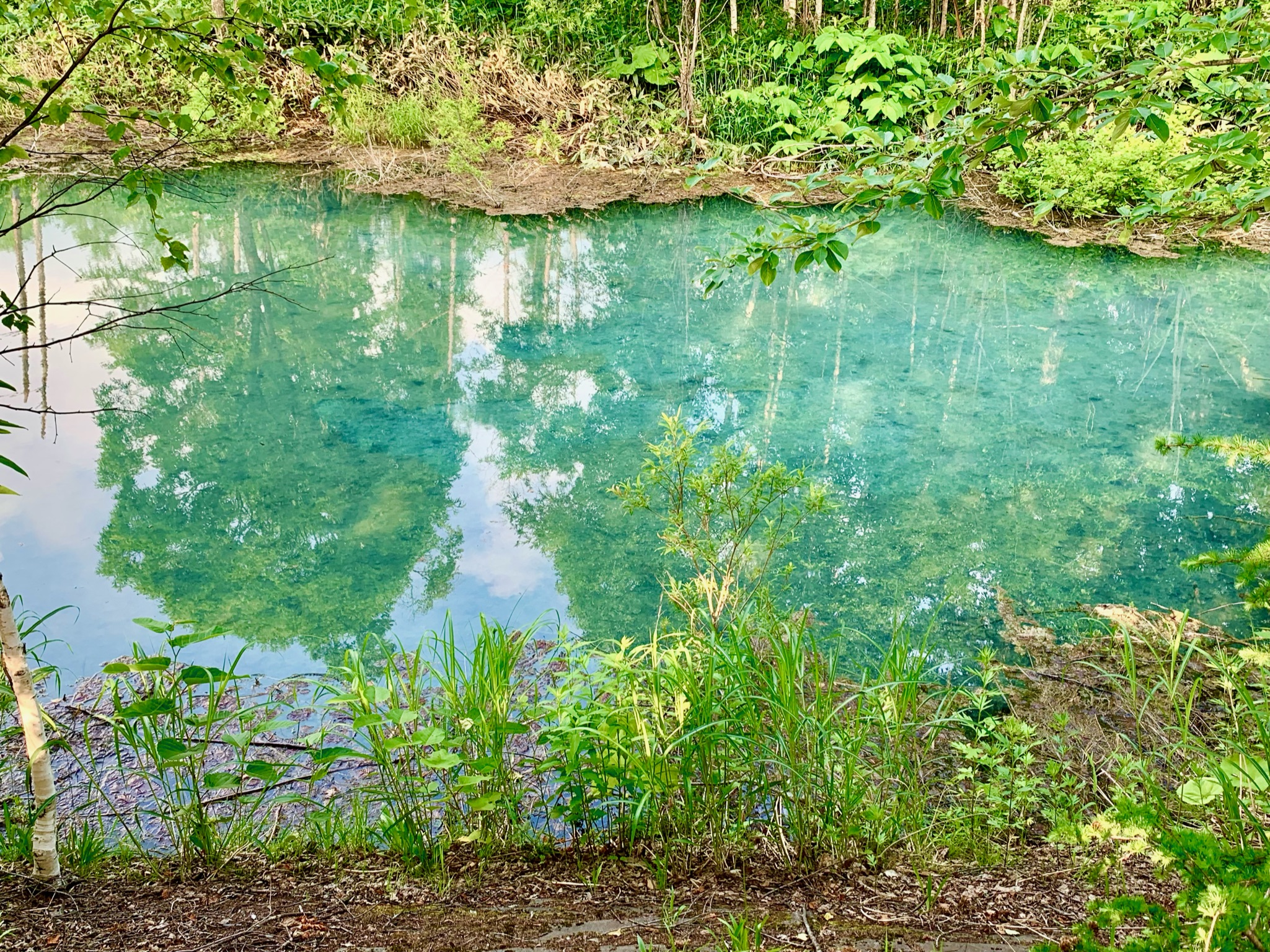 北海道　青の池