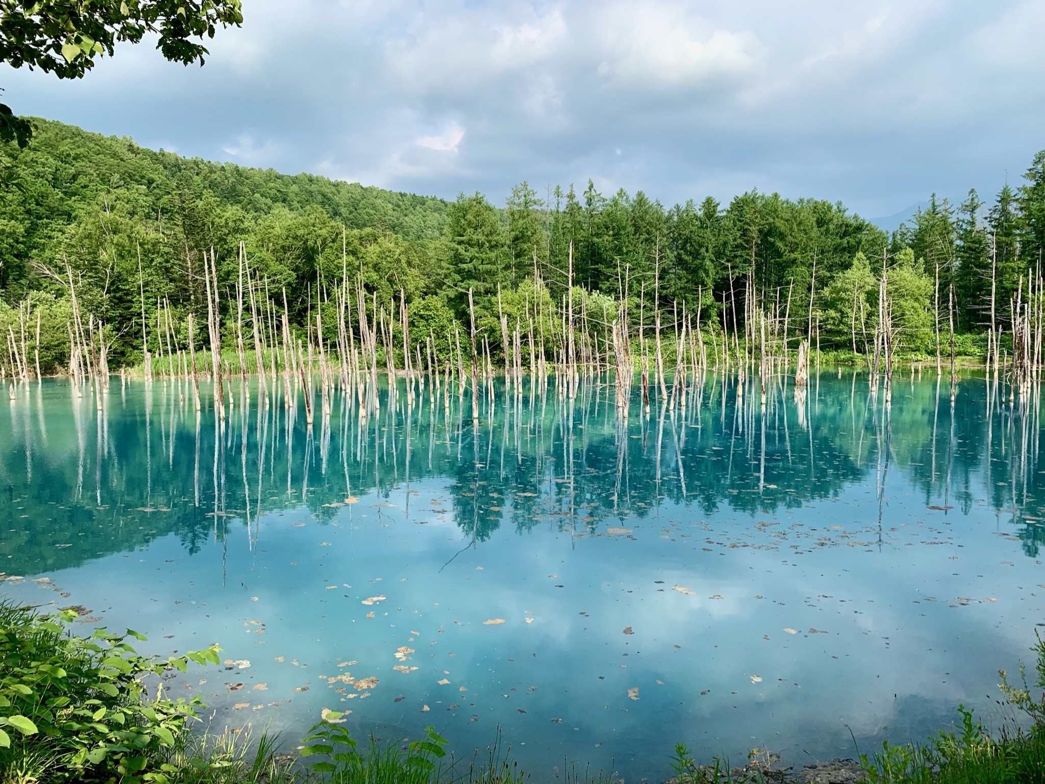 北海道 青の池