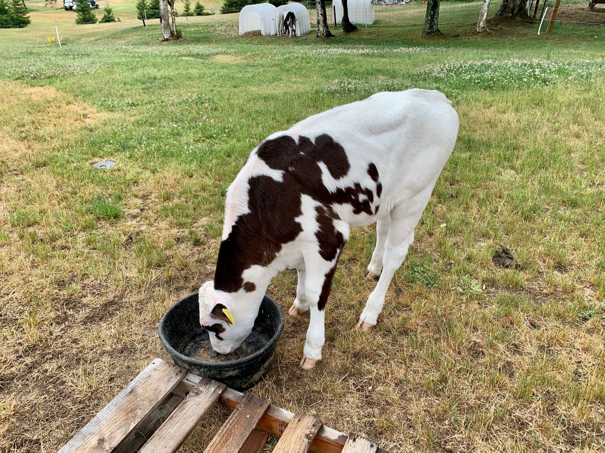 トマム　星野リゾート