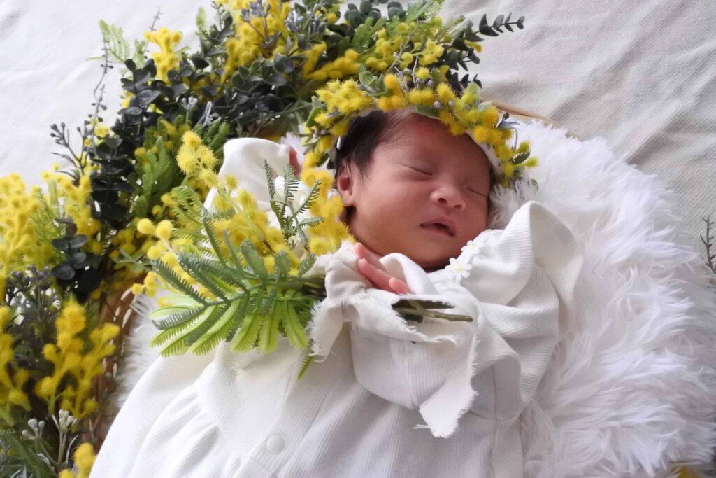 ミモザ　ニューボーンフォト